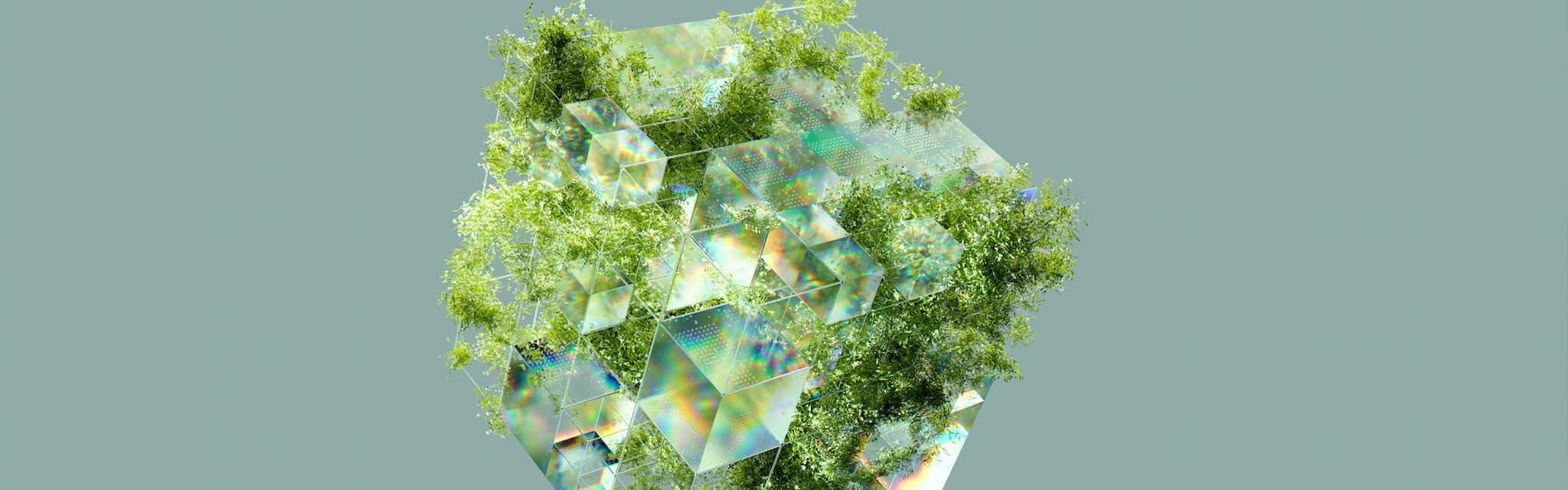 Recrutement énergie verte : rendu 3D d'un cube futuriste mixé à la nature
