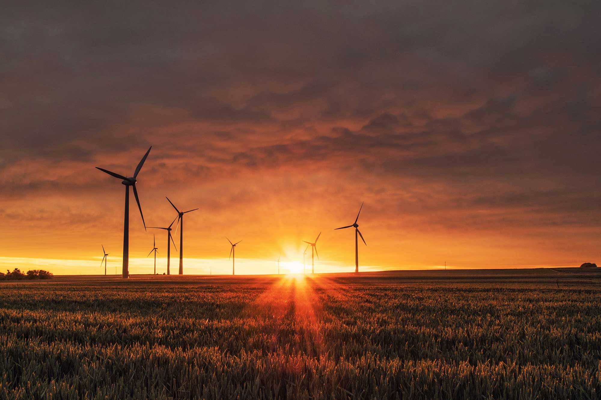 Recruter dans le secteur de l'énergie avec BlueDocker